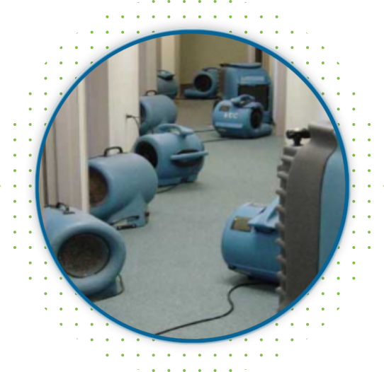 Water Damage Carpet Cleaning Sydney